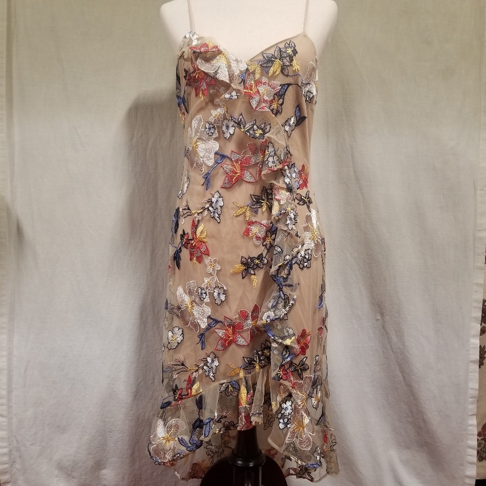 Devlin Embroidered floral V-neck dress